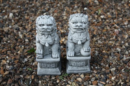 KD26 Baby Foo Dog